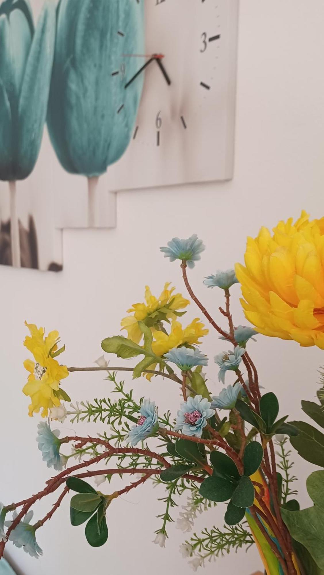 Apartments Zia Петркане Екстериор снимка