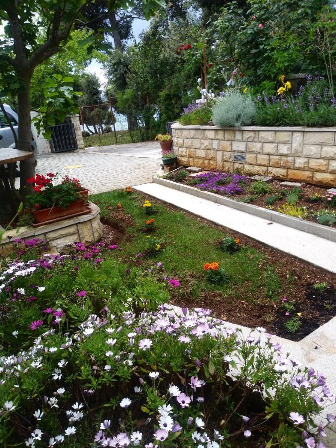 Apartments Zia Петркане Екстериор снимка