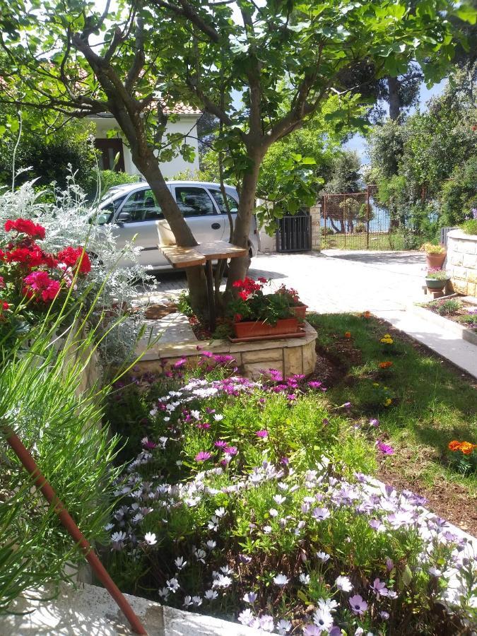 Apartments Zia Петркане Екстериор снимка